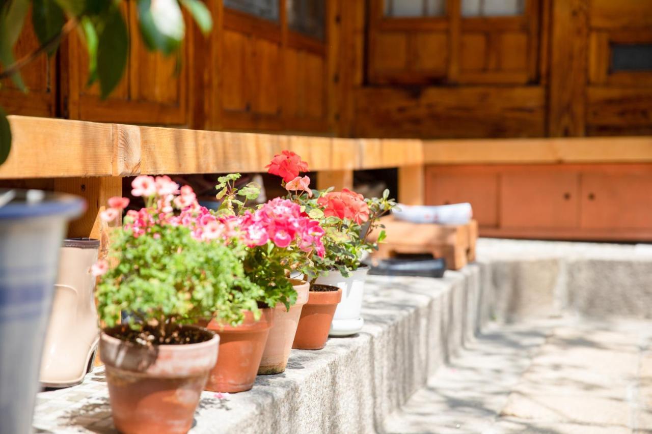 Dongmyo Hanok Sihwadang - Private Korean Style House In The City Center With A Beautiful Garden Seoul Eksteriør bilde